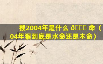 猴2004年是什么 🕊 命（04年猴到底是水命还是木命）